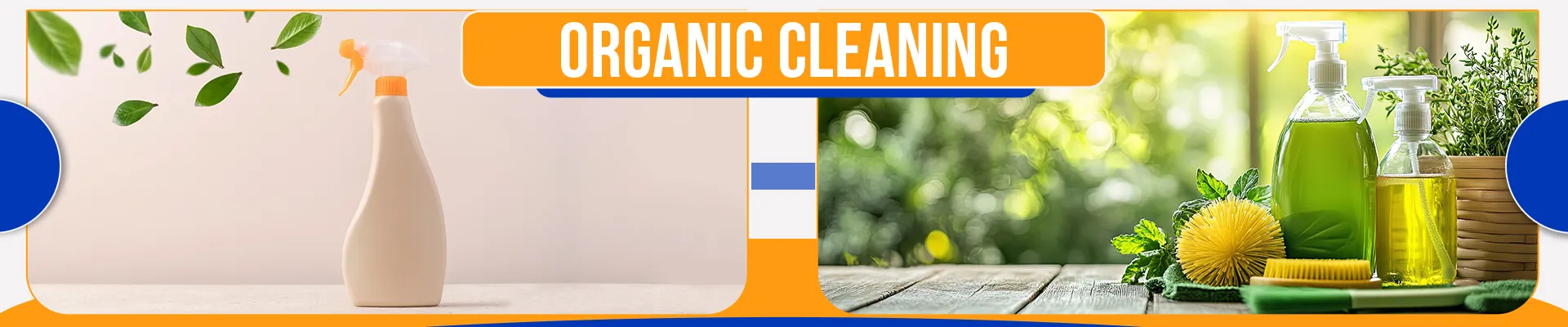 carpet cleaners in Nassau, carpet cleaning in Nassau, carpet cleaning nassau, carpet cleaners in nassau,  commercial carpet cleaning, commercial carpet cleaning in nassau,carpet cleaning in nassau,  nassau rug cleaners, rug cleaning services in nassau, same day carpet cleaning, same day rug cleaning