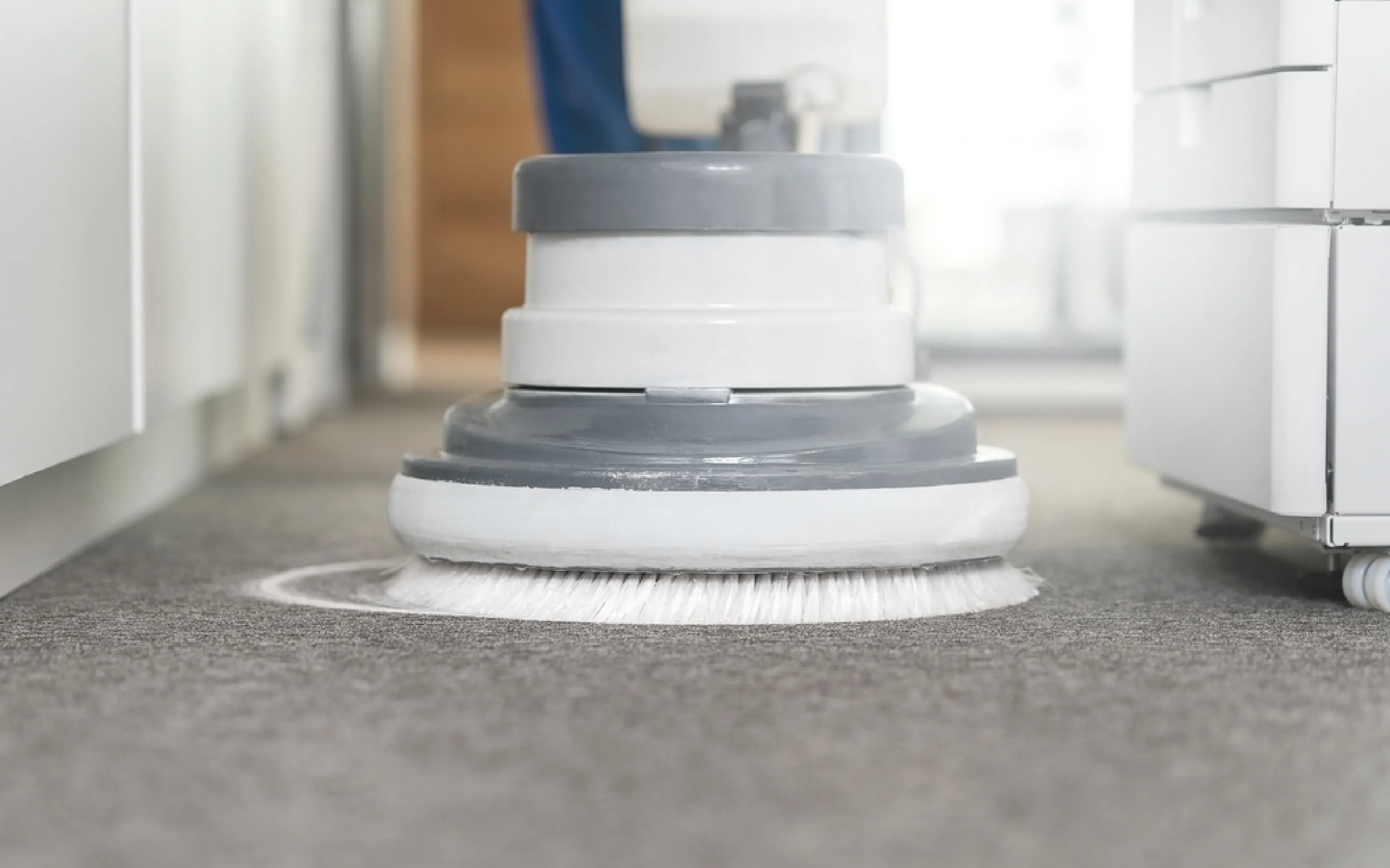 carpet cleaners in Nassau, carpet cleaning in Nassau, carpet cleaning nassau, carpet cleaners in nassau,  commercial carpet cleaning, commercial carpet cleaning in nassau,carpet cleaning in nassau,  nassau rug cleaners, rug cleaning services in nassau, same day carpet cleaning, same day rug cleaning