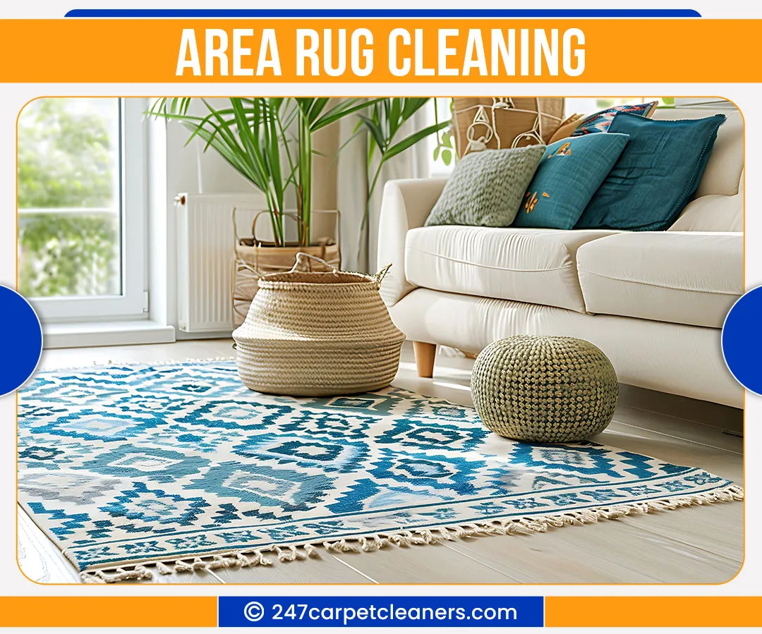 carpet cleaners in Nassau, carpet cleaning in Nassau, carpet cleaning nassau, carpet cleaners in nassau,  commercial carpet cleaning, commercial carpet cleaning in nassau,carpet cleaning in nassau,  nassau rug cleaners, rug cleaning services in nassau, same day carpet cleaning, same day rug cleaning