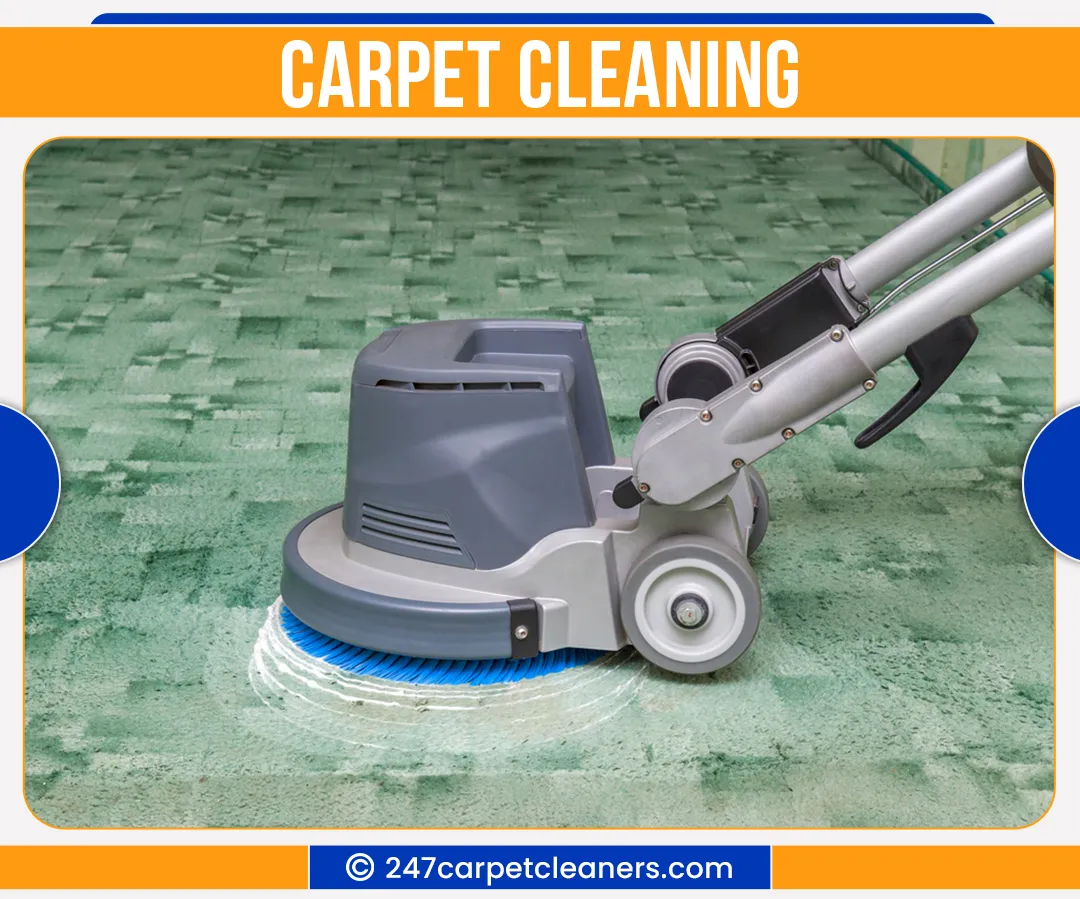 carpet cleaners in Nassau, carpet cleaning in Nassau, carpet cleaning nassau, carpet cleaners in nassau,  commercial carpet cleaning, commercial carpet cleaning in nassau,carpet cleaning in nassau,  nassau rug cleaners, rug cleaning services in nassau, same day carpet cleaning, same day rug cleaning